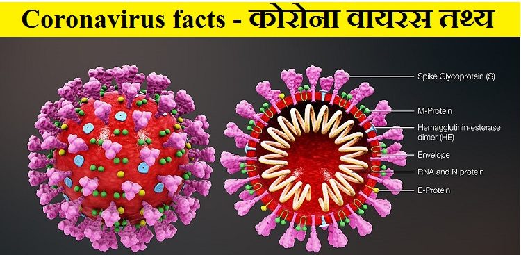 Coronavirus facts कोरोना