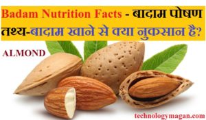 Badam Nutrition Facts