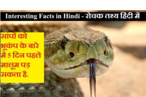 Interesting Facts in Hindi